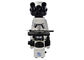 LEIDENE van 100X 3W Digitale Optische Microscoop met 5 Miljoen Pixelcamera leverancier