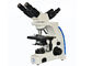 3W LEIDENE Lichte Multi het Bekijken Microscoop1000x Vergroting 2 Positie leverancier