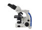 100X Binoculaire Lichte Microscoop van de laboratorium de Biologische Microscoop met 3W-LEIDENE Lichten leverancier