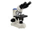 100X de Biologische Microscoop van het verrekijkerslaboratorium voor Lage school leverancier