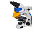 Rechte de Fluorescentiemicroscoop van UOP, de Microscopie van de Hoge Resolutiefluorescentie leverancier