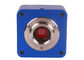 USB 3,0 CCD-Cameramicroscoop Biologisch C zet Microscoopcamera op leverancier