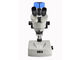 Professionele Stereo Optische Microscoop met 5 Miljoen Pixelcamera leverancier