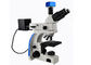 Overgebrachte Lichte Rechte Fluorescentiemicroscoop UMT203i voor Gerechtelijke Laboratoria leverancier