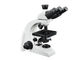 UB103i de Professionele Microscoop van Rangtrinocular voor Primaire Studenten leverancier