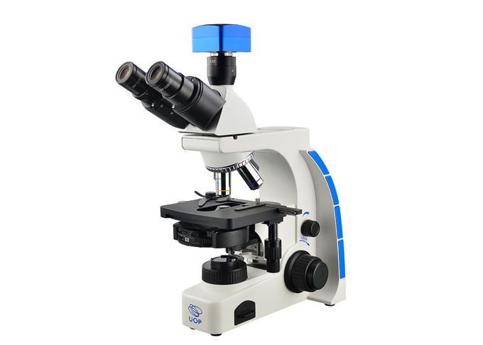 Het Contrastmicroscoop 40X van de Tinocularfase - 1000X-Middelbare schoolmicroscoop