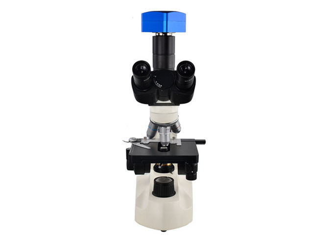 Witte Medische Laboratoriummicroscoop, Microscoop 4 van het Wetenschapslaboratorium Gatennosepiece