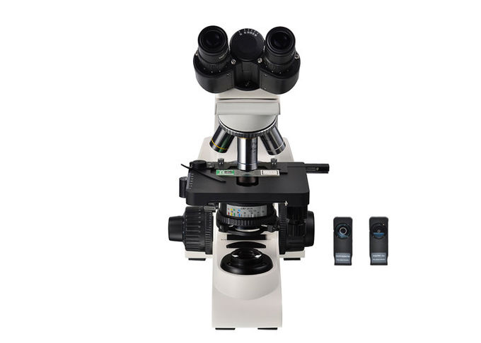 Binoculaire de Microscoop Rechte Microscoop 10x 40x 100x van het Fasecontrast