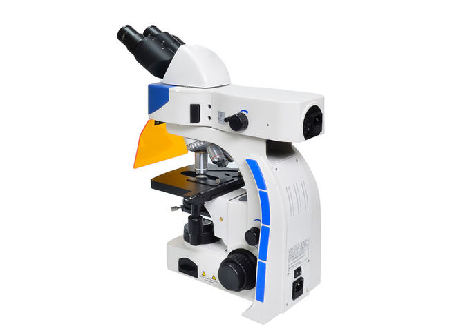 UY202i-geleid Rechte Fluorescentiemicroscoop met UV & V-Fluorescentiefilter
