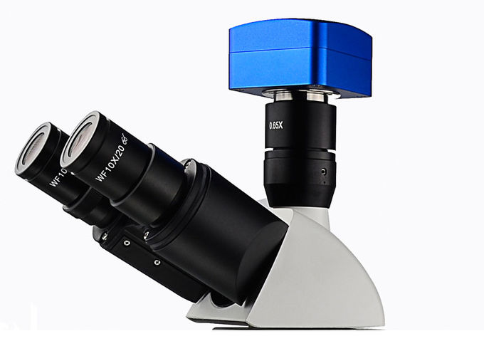 Overgebrachte Lichte Rechte Fluorescentiemicroscoop UMT203i voor Gerechtelijke Laboratoria