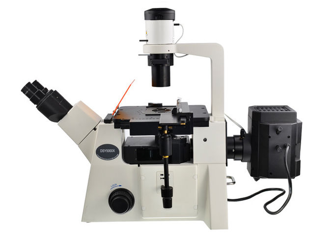 DSY5000X de omgekeerde Optische Rechte en Omgekeerde Microscoop van de Microscoopb/g/V/UV Filter