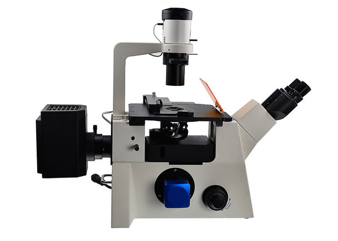 DSY5000X de omgekeerde Optische Rechte en Omgekeerde Microscoop van de Microscoopb/g/V/UV Filter